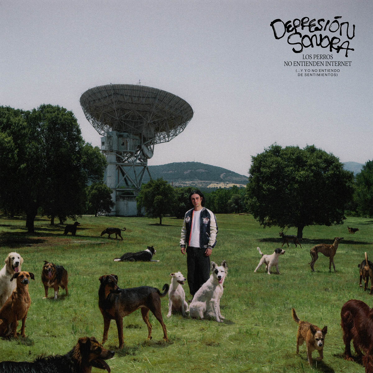 DEPRESION SONORA :: LOS PERROS NO ENTIENDEN INTERNET (AZUL)