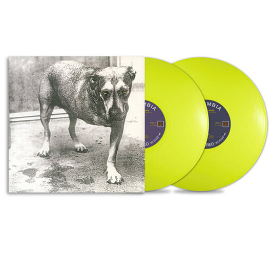 ALICE IN CHAINS :: ALICE IN CHAINS 30TH ANNIVERSARY ( HIGHLIGHTER YELLOW VINYL)