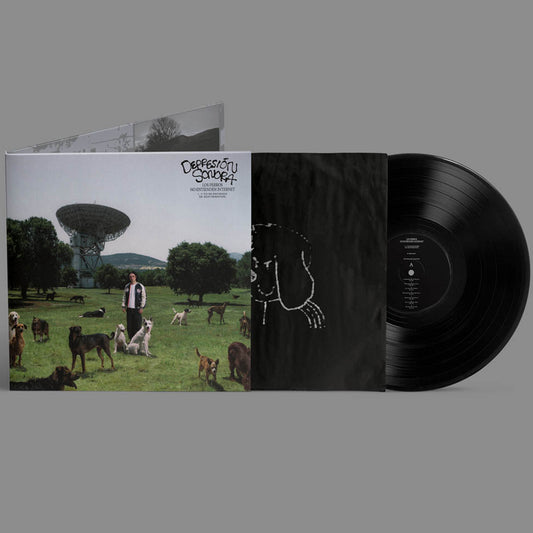 DEPRESION SONORA :: LOS PERROS NO ENTIENDEN INTERNET