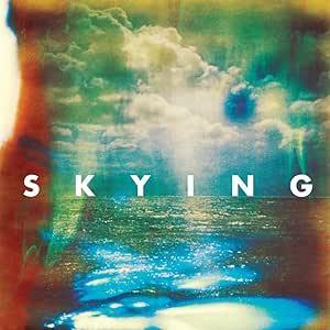 THE HORRORS :: SKYING