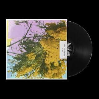 FOUR TET :: INTO DUST (STILL FALLING)