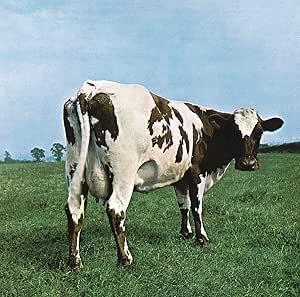 PINK FLOYD :: ATOM HEART MOTHER