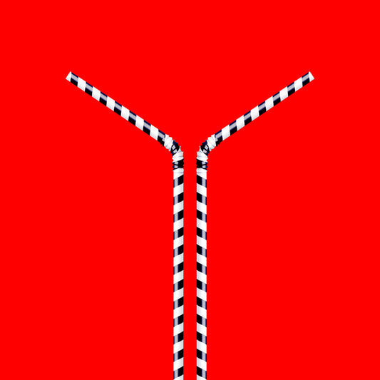 ISLA DE CARAS :: LINEAS GENERALES