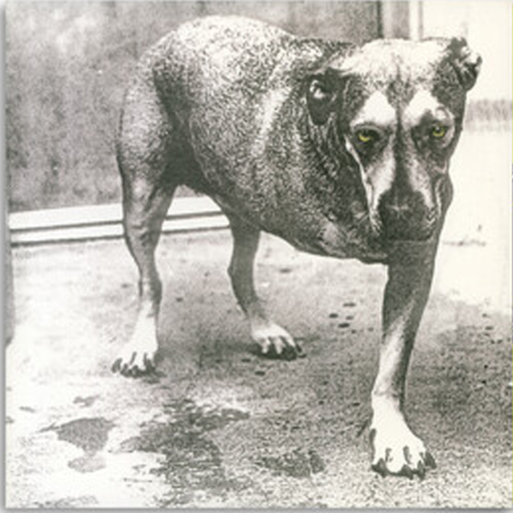 ALICE IN CHAINS :: ALICE IN CHAINS 30TH ANNIVERSARY ( HIGHLIGHTER YELLOW VINYL)