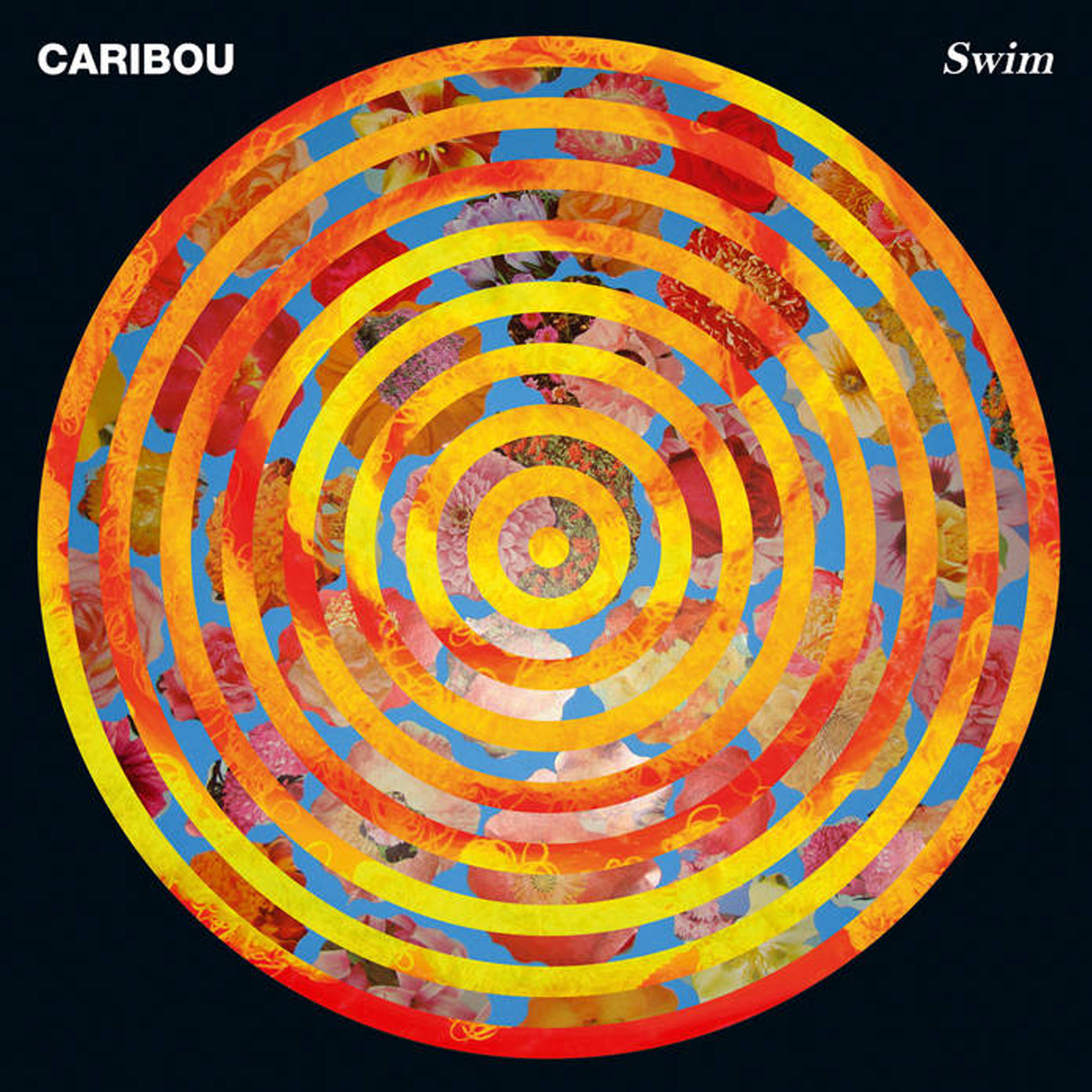 CARIBOU :: SWIM