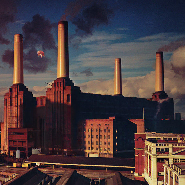 PINK FLOYD :: ANIMALS