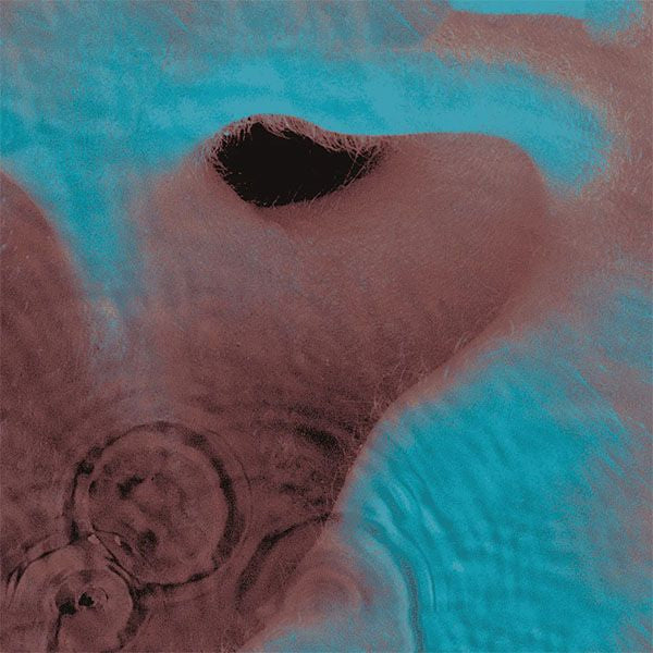 PINK FLOYD :: MEDDLE