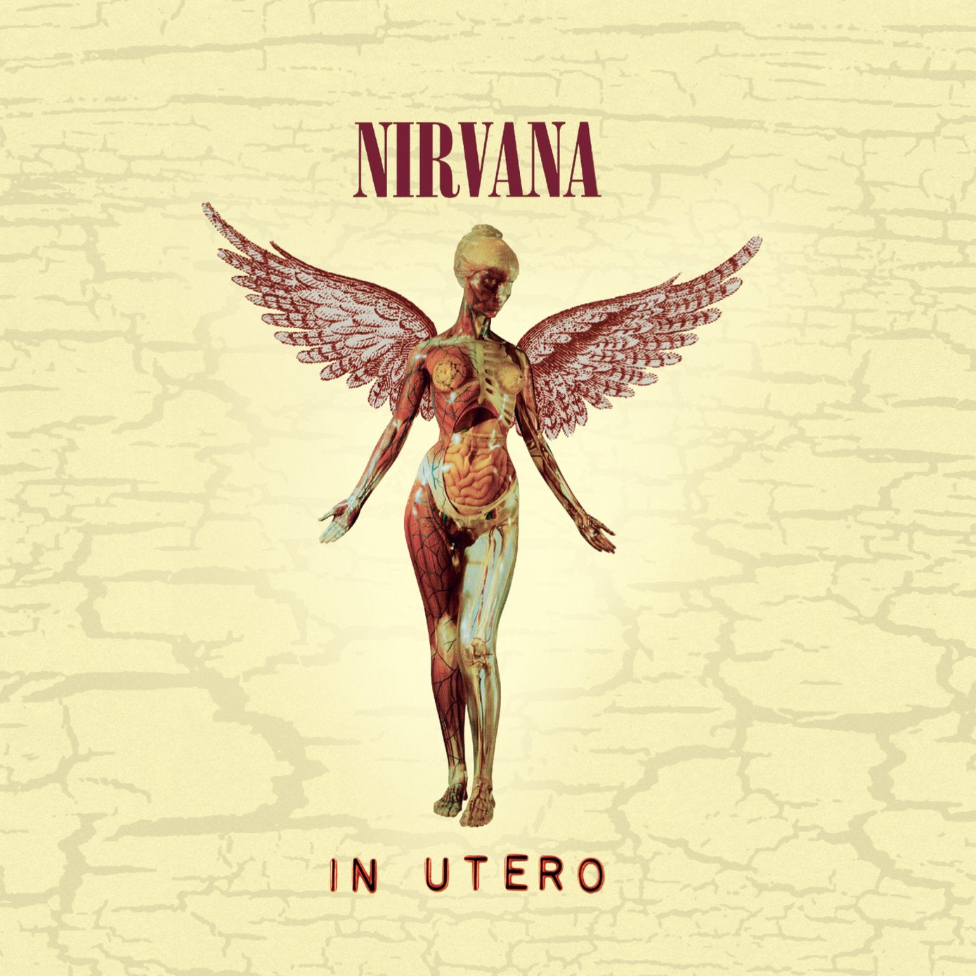 NIRVANA :: IN UTERO